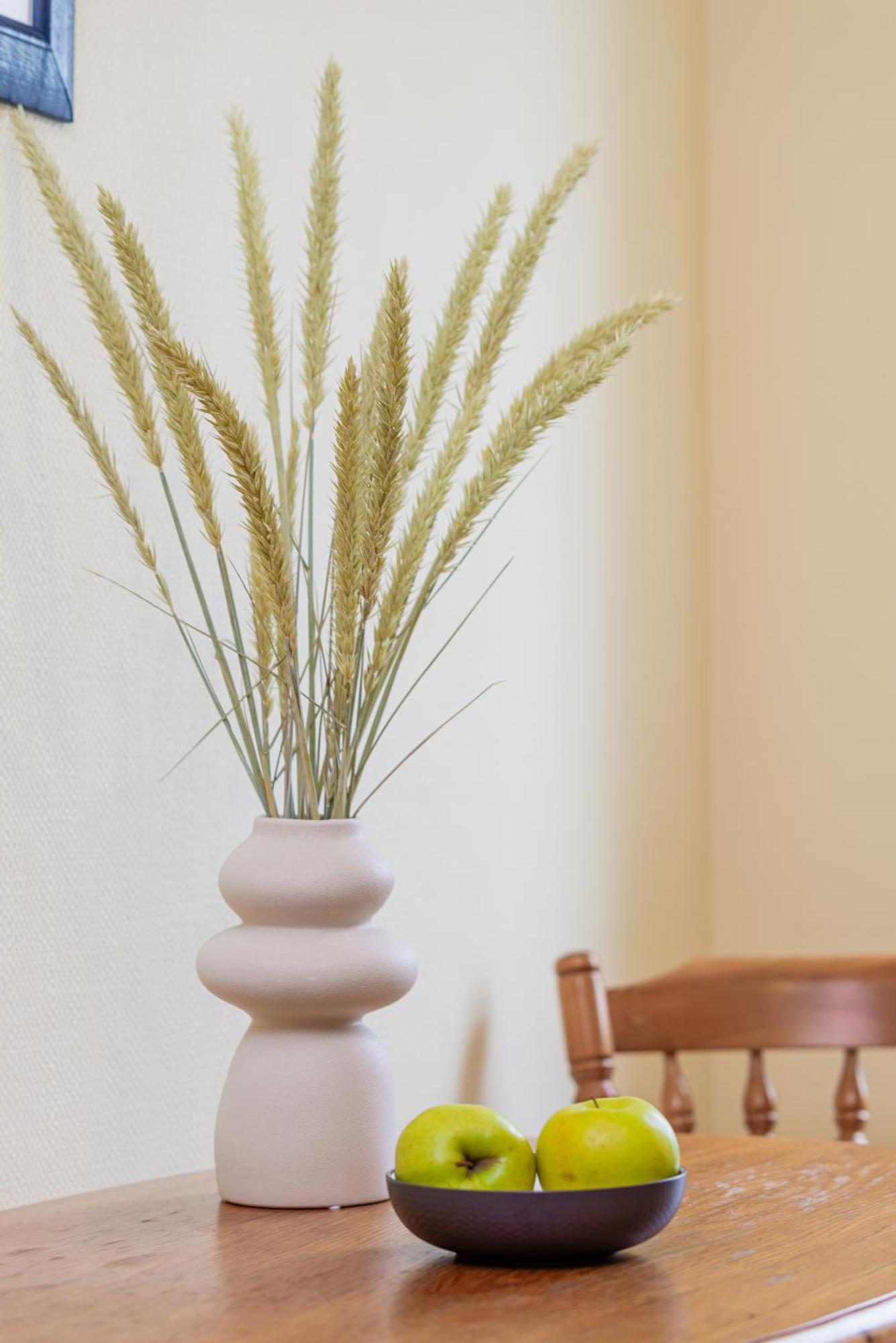Family Inn Cottage With Terrace Παλάγκα Εξωτερικό φωτογραφία